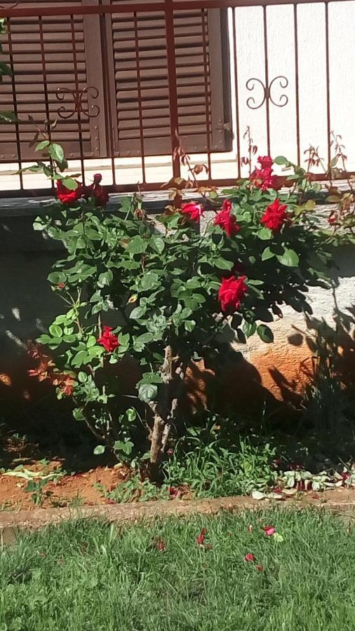 Apartment Vesna For 2, Free Parking And Wi-Fi Pula Exterior foto